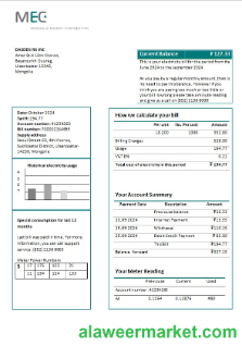 Mongolia Energy Corporation (MEC) electricity business utility bill template in Word and PDF formats